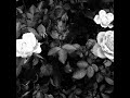 THE BLACK COMET CLUB BAND - new album ‘La Vie En Rose’ (Audio)   - digest version ダイジェスト版
