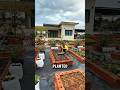 She Turned Her Front Yard into a Productive Vegetable Garden