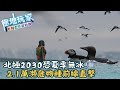 北極探險的報導