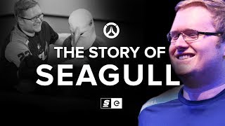 The Story of Seagull