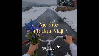 Nje Dite Tbukur Maji Serenata Korcare
