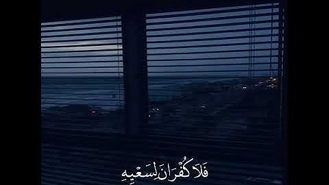 حالات واتس اب قران 🌸️🖇️|| حالات واتس قرأن || تلاوة خاشعة || Quran Status🖇️💙🌸 اية قرانية قصيره🎧🌸