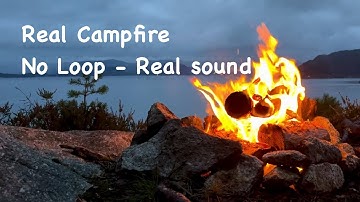 Autumn Evening Campfire TV | 1 Hour Real Fire & Gentle Distant Rain over the Ocean (HD, No Loop)
