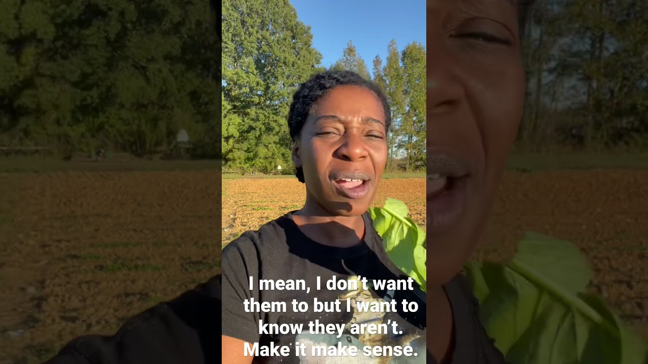 Why aren’t the deer eating our turnips?