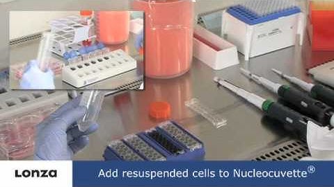 Lonza 4D Nucleofector pro úspěšnou transfekci Vašich buněk