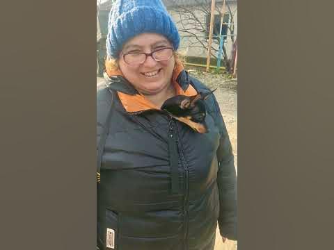 собака в куртке - YouTube