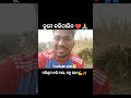 You can do it ✅💯 odia best motivational shorts #motivation #odia #shorts #shortsvideo #success