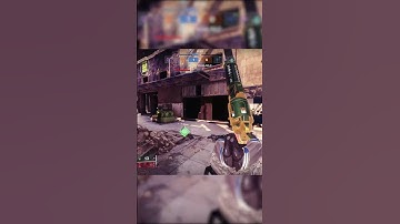 Sorry, had to assert my dominance... #shorts