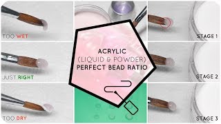 Perfect your Acrylic Bead Ratio  Liquid and Powder