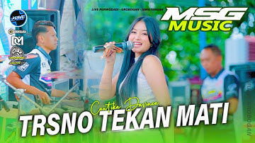 TRESNO TEKAN MATI - Cantika Davinca MSG MUSIC X FARIS KENDANG Purwodadi Grobogan #2025