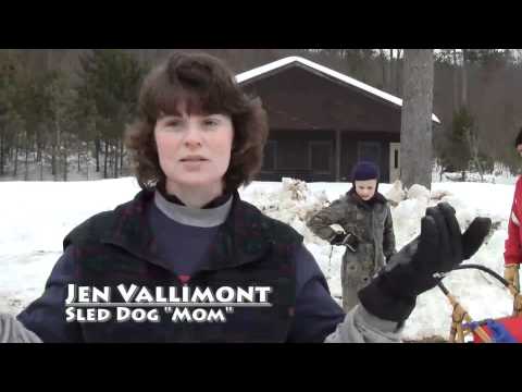 Sled Dog Racing @ Allegany State Park