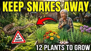 12 Plants That Keep Snakes Away From Your Yard Naturally