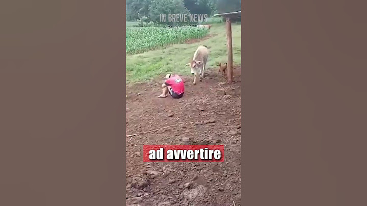 Incredibile reazione degli animali 🐕‍🦺🐄 Premura e compassione.  #short