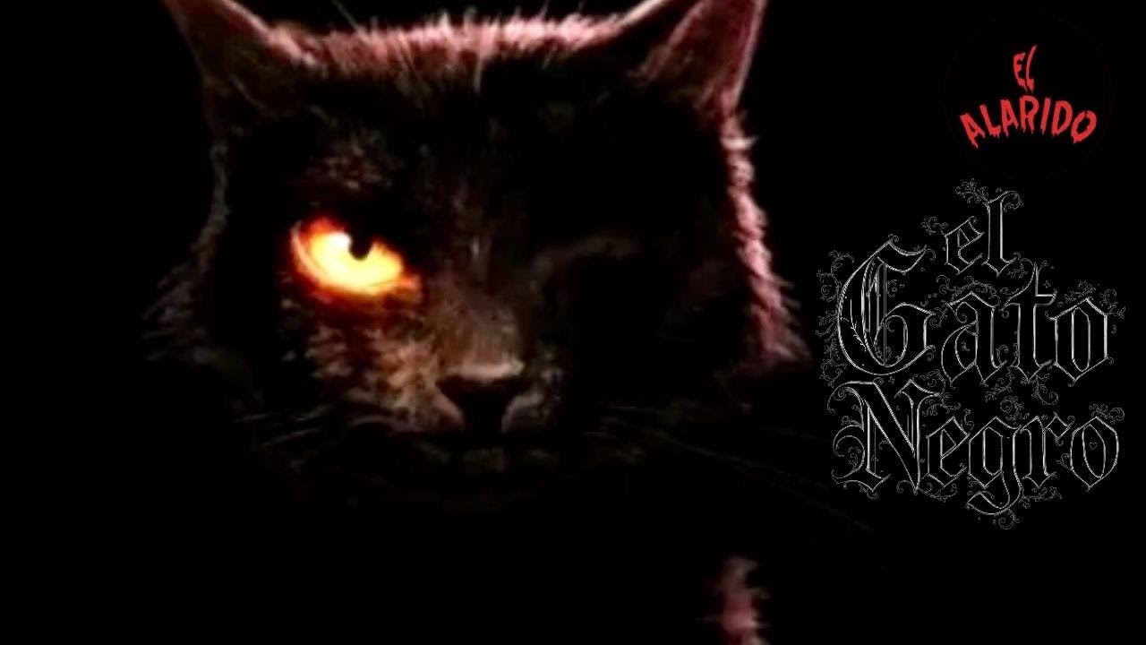 EL GATO NEGRO DEL HORROR