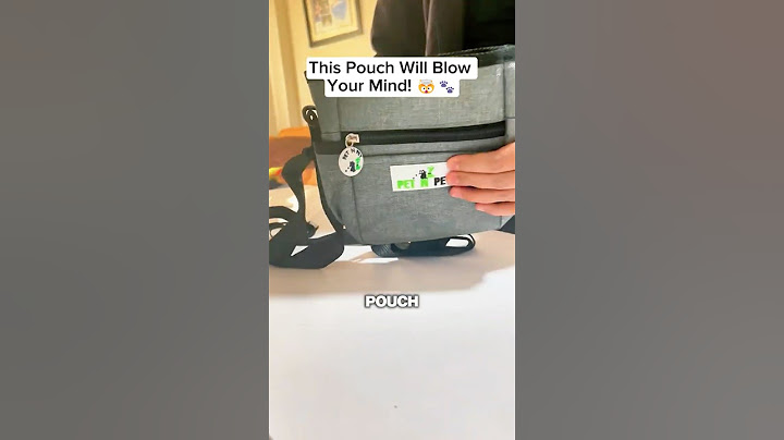This One Pouch Solves All Your Dog Walk Problems 💡🐶