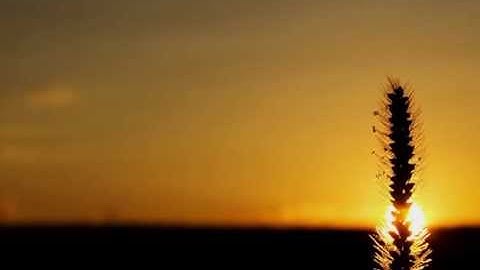 تلاوة رائعة للقارئ يونس شيخ - ما تيسر من سورة الاسراء