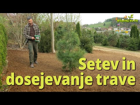 Video: Sadje, ki raste v senci - spoznajte sadje, ki ljubi senco za vrt