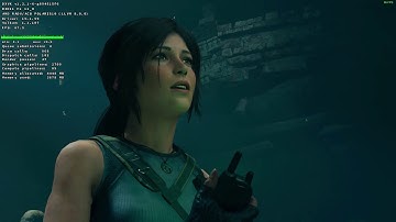 Shadow of the Tomb Raider #2 | Linux / ACO (new Mesa shader compiler)