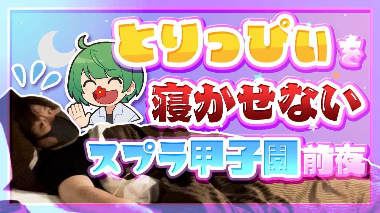 とりっぴぃと2人、ホテル同部屋、スプラ甲子園の前夜。何も起きないはずがなく…。【神殿花鳥】