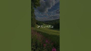 سورة إبراهيم #علي_جابر رحمه الله #quran #اكسبلور #راحة_نفسية #قرآن