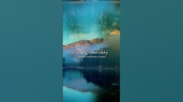 سورة النبأ ألم نجعل الأرض مهاد بصوت عبد الرحمن مسعد