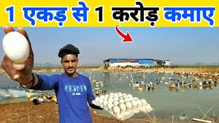 25 साल के लड़के ने एक एकड़ से एक करोड़ कमाए | 🦆 Duck farm tour by Manish Kushwaha Farming  765,750 views 1 month ago 19 minutes