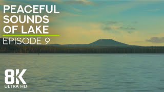 Gentle Lake Waves and Birds Chirping for Relax & Destress - 8K Peaceful Sounds of Lake - Episode 9