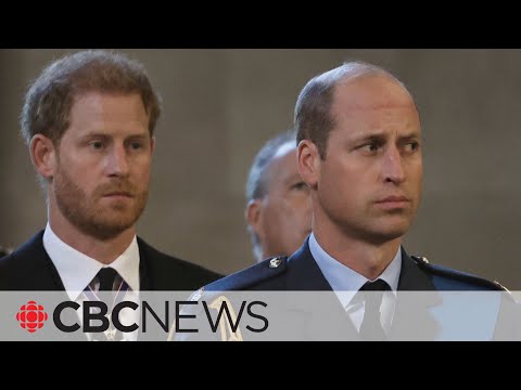 Prince harry's book details breakdown of family relationships: royal watcher