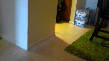 Trigger happy vs bouncer