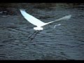 中西清一作曲／フルート協奏曲