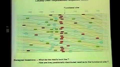 Comparative analysis of promoter sequences: The discovery of the Pribnow box
