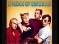 A flock of seagulls  wishing if i had a photograph of you  committed