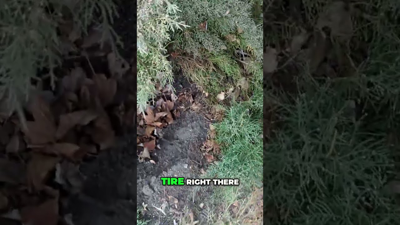 Car Tire Explosion: See the Impact Point and Damage! 