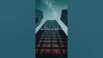 لا يكلف الله نفسا الا وسعها | تلاوة هادئة 💙