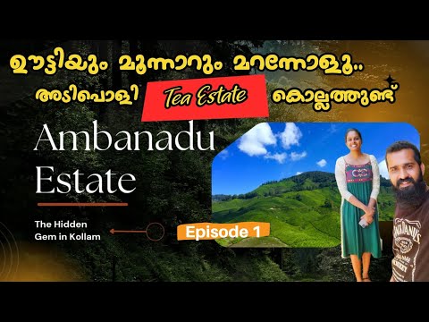 AMBANAD HILLS PART 1 | അമ്പനാടിലെ കാഴ്ചകൾക്ക് മുന്നിൽ ഊട്ടിയും മൂന്നാറും ഒന്നുമല്ല | AMBANADU ESTATE