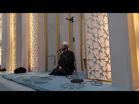 Hafız Ali Tel'in