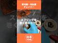 リコイルスプリングの巻き方