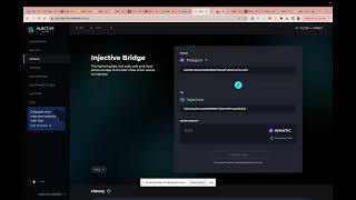 How to Bridge to Injective Network using Metamask to get Meme coins like NINJA Dog Wif Nunchuks