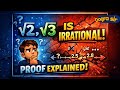 √3 is irrational || Dogra sir