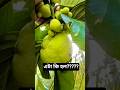 এটা কি ফল বলতো ????#🤔#shortvideo #viralvideo #