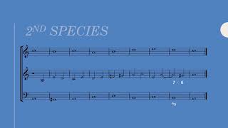 3-Part Counterpoint: 2nd Species