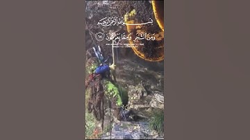 { وَأَوْحَىٰ رَبُّكَ إِلَى النَّحْلِ } خالد الجليل #قرآن_كريم #ثقتي_بالله #تلاوة