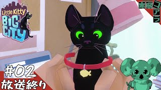 【Little Kitty,BigCity】ただただ猫で癒されたいそんな日もある