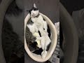 今日も猫社員の寝相が可愛らしいThe sleeping appearance of a cat employee is still cute today【保護猫】 #保護 #猫 #cat #野良猫