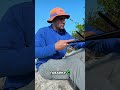 Походный гамак: установка лагеря и охота на океане! #shorts