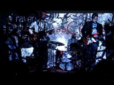 მასკულტურა - დინა