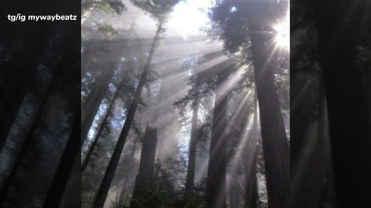 [FREE] DARK YEAT + BNYX INSPIRED LOOP KIT - "audio!drug"