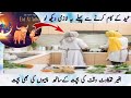 Remove Eid Tiredness And Make Your Life Easier With Useful Hacks To Save Money Time 