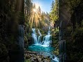 🌊 Majestic Waterfall in Sunlight | Relaxing Nature Sounds for Inner Peace ☀️🍃
