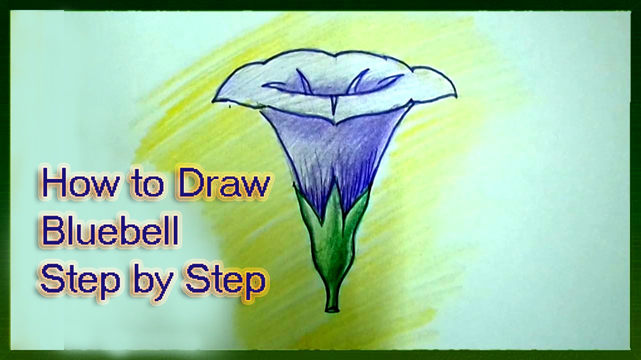 How To Draw Bluebell Flower Step By Step Youtube